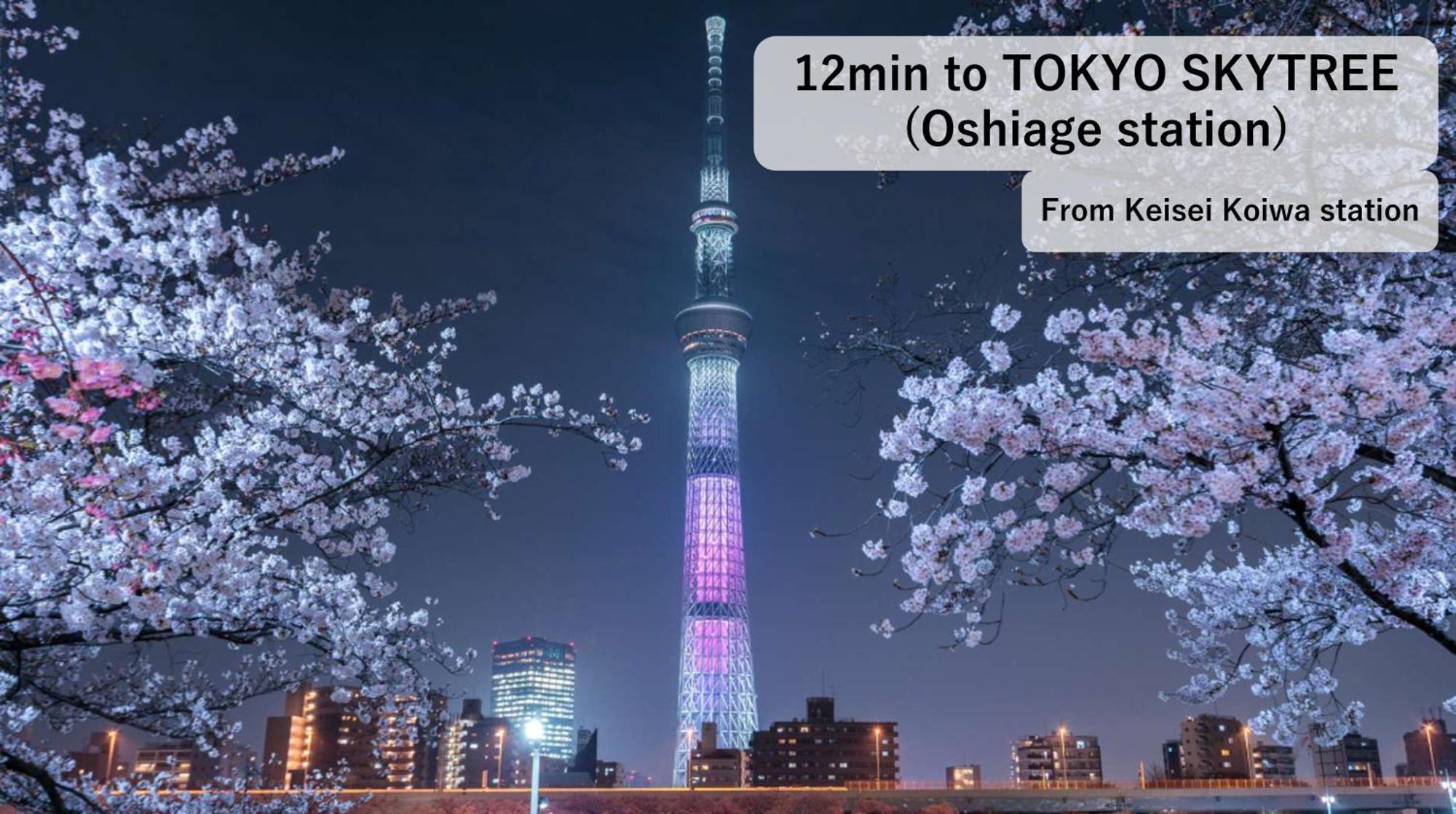 Asahistay -Koiwa, Free Parking O, Whole Family House, Japanese Garden Taste Tokyo prefektur Exteriör bild